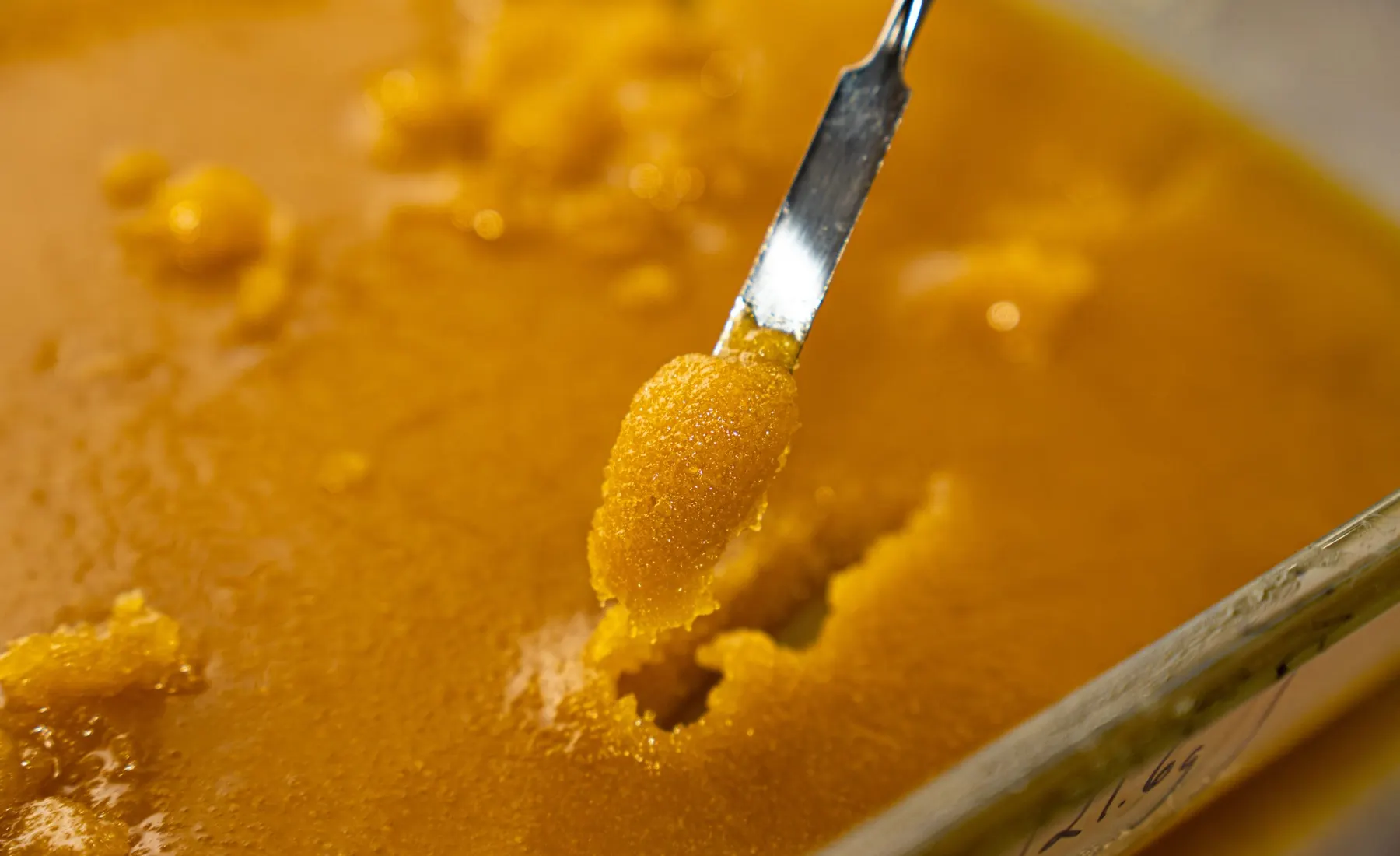 Dabs 101: Beginner’s Guide to Cannabis Concentrates