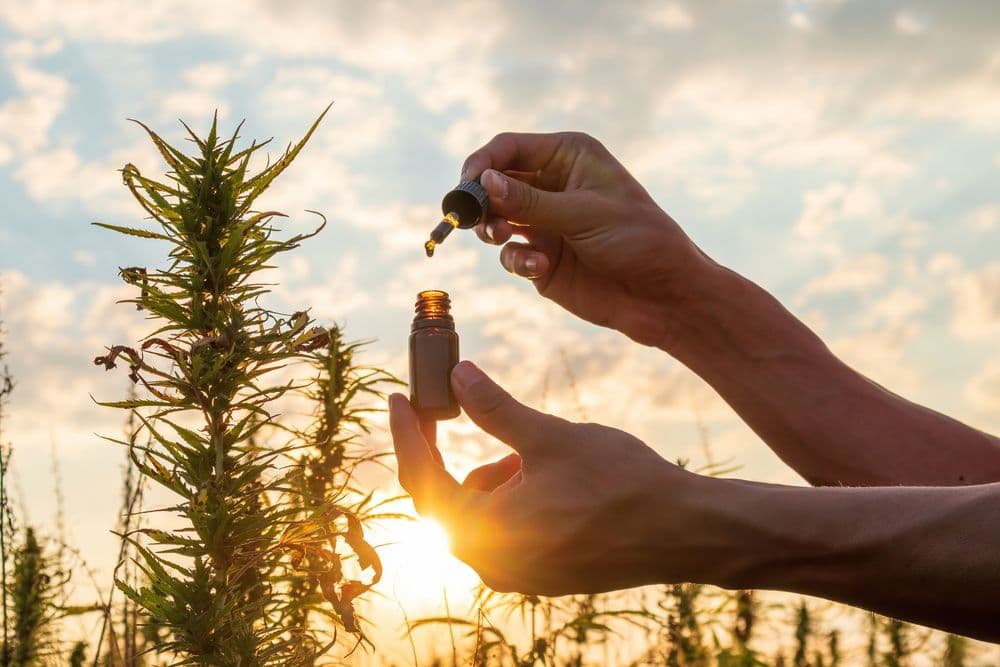 CBD for Joint Pain: Tips for Getting Started