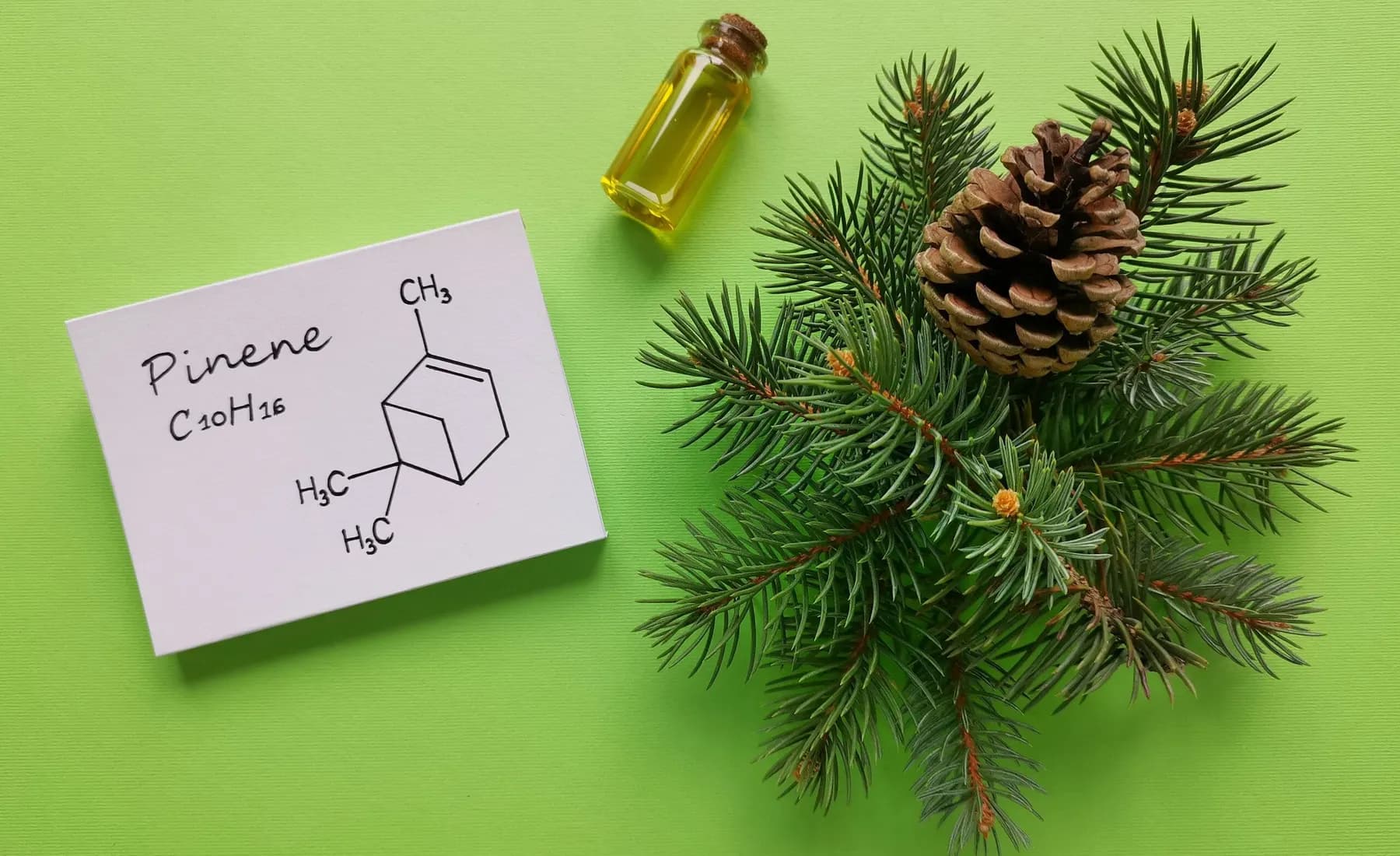 5 Ways Terpenes Can Improve Your Health