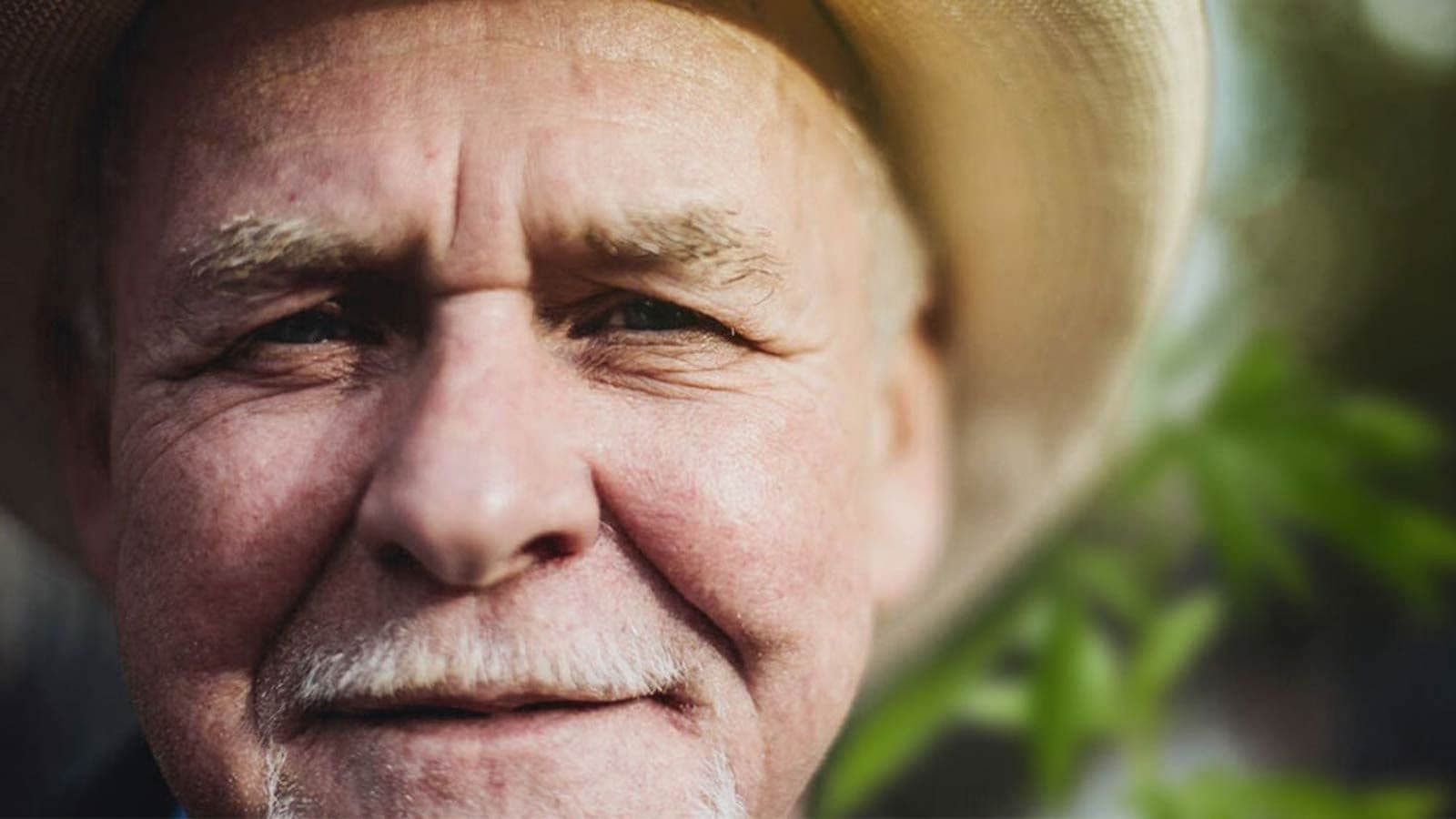 What is Rick Simpson Oil?